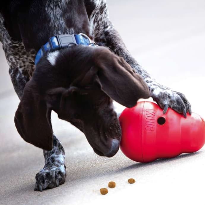 犬 おもちゃ 知育 | 犬用知育おもちゃ 食べ遊びコング