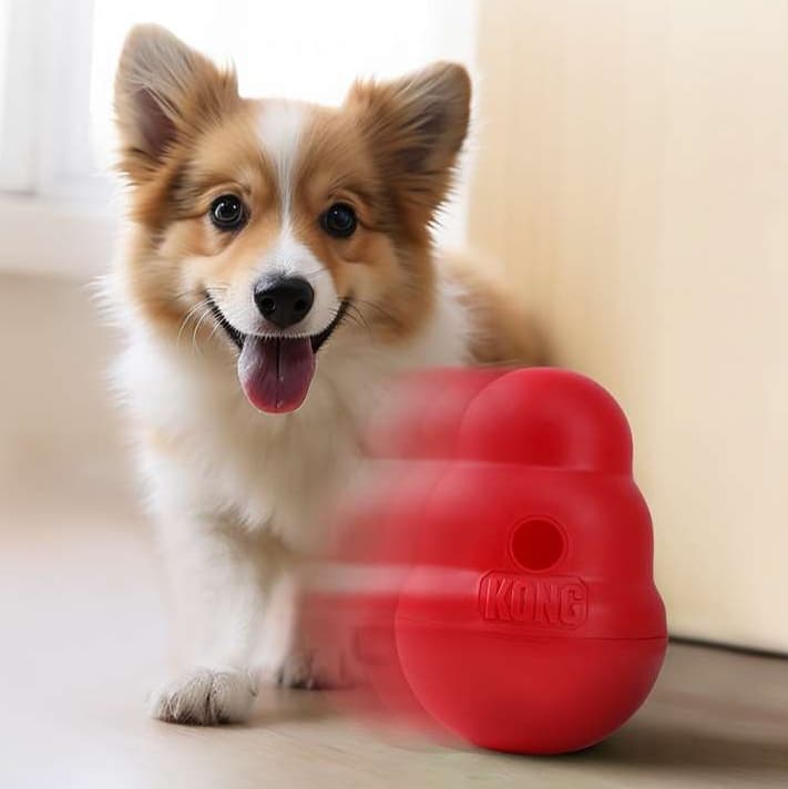 犬 おもちゃ 知育 | 犬用知育おもちゃ 食べ遊びコング