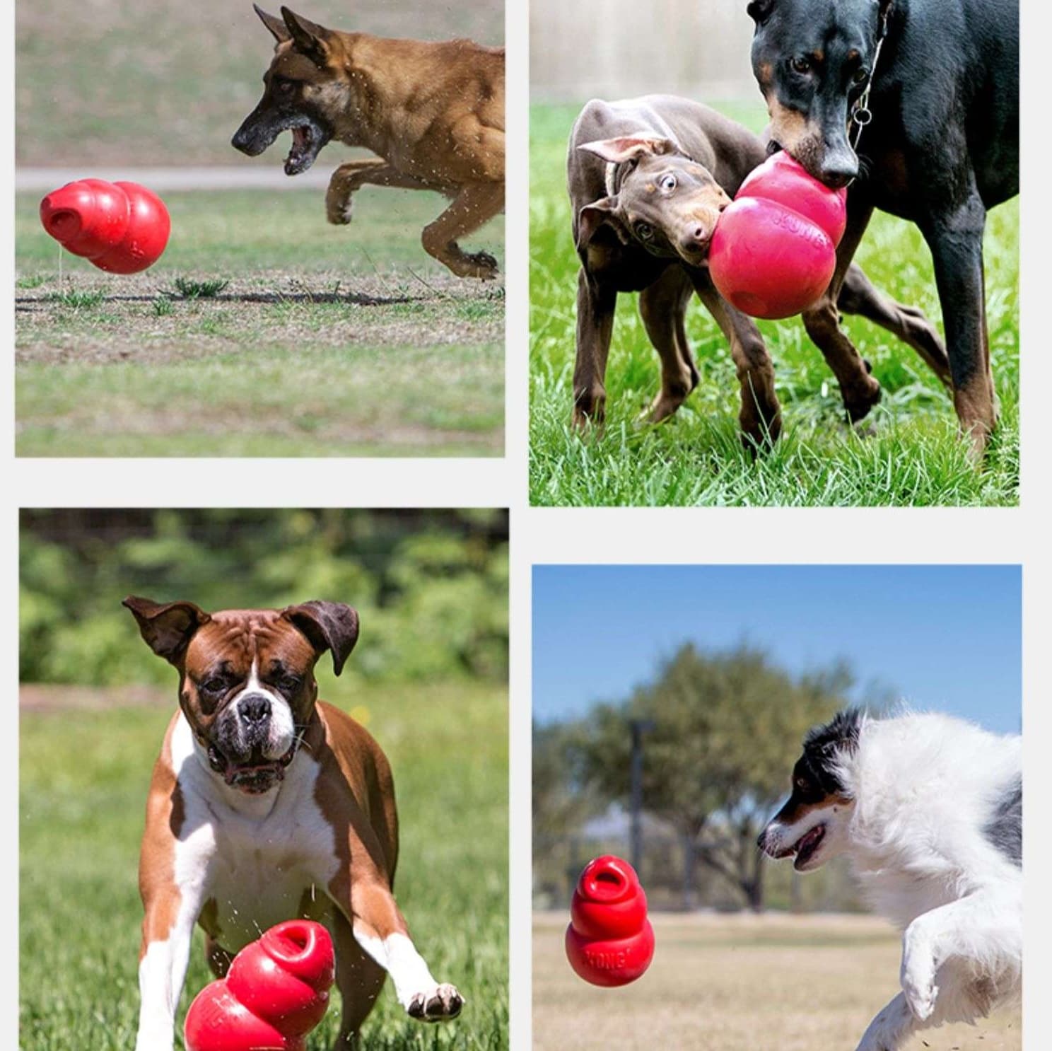 犬 おもちゃ 知育 | わんちゃんの知育バウンサー