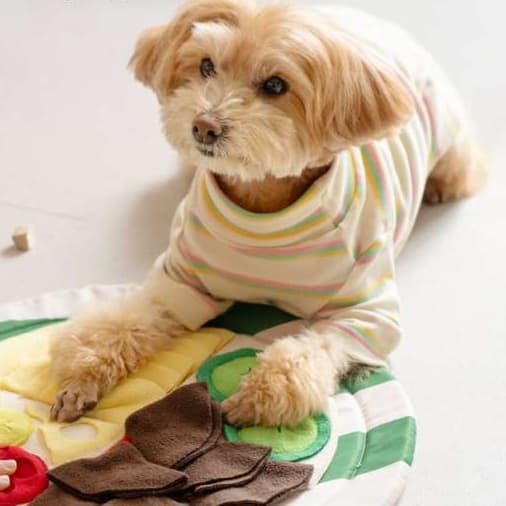 犬 おもちゃ 知育 | 多機能知育ペット遊びマット
