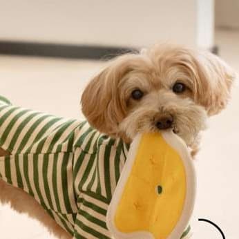 犬 おもちゃ 知育 | 多機能知育ペット遊びマット