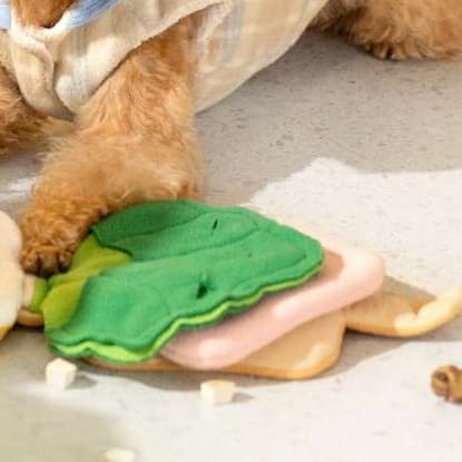 犬 おもちゃ 知育 | 多機能知育ペット遊びマット