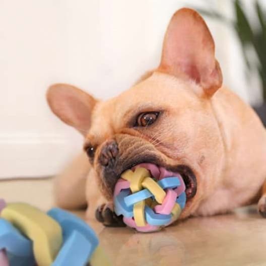 犬 おもちゃ ボール | 犬用音楽ボール知育玩具