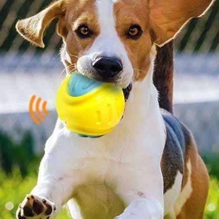 犬 おもちゃ ボール | 音が鳴る弾力ボール知育おもちゃ