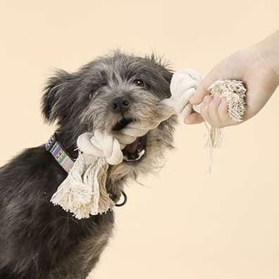 犬 おもちゃ ロープ | ペット用デンタルロープおもちゃ