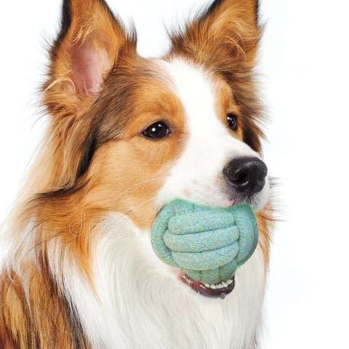 犬 おもちゃ ロープ | 愛犬用噛み噛みロープおもちゃ