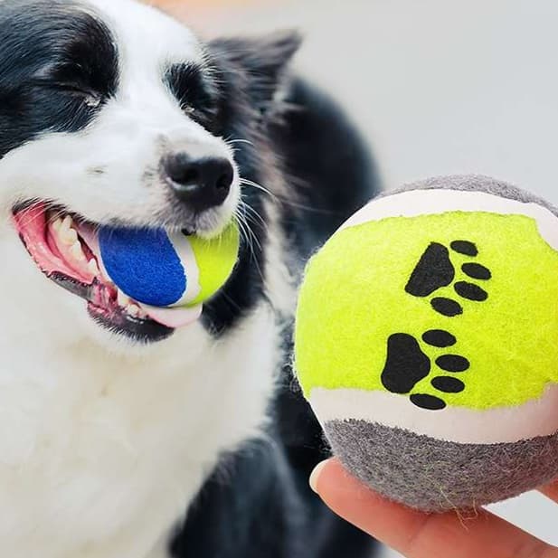 犬 おもちゃ ロープ | 犬用テニスボールロープおもちゃ