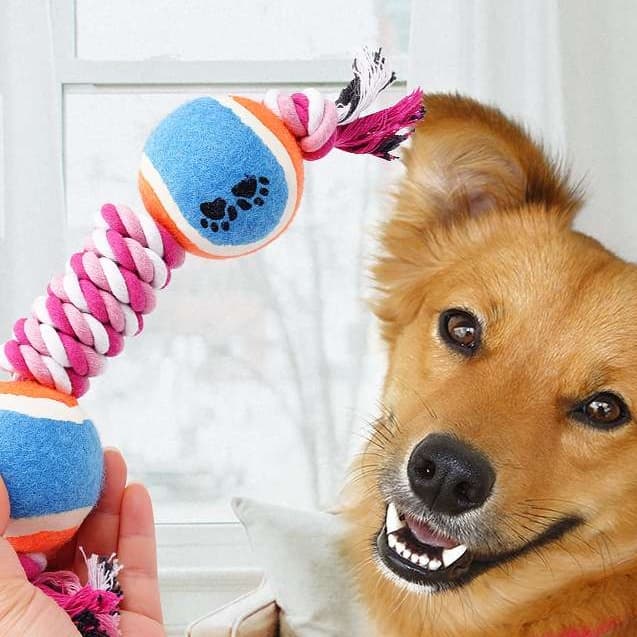 犬 おもちゃ ロープ | 犬用テニスボールロープおもちゃ