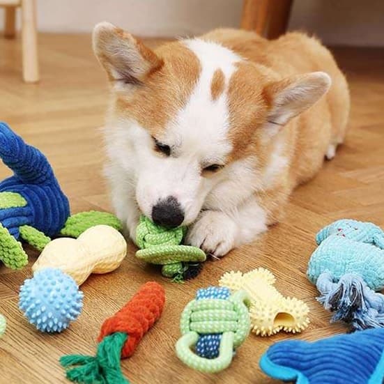 犬 おもちゃ ロープ | 愛犬用マルチプレイロープおもちゃ