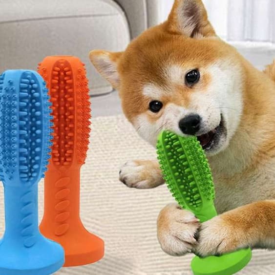 犬 おもちゃ 歯磨き | 犬用歯磨きおもちゃ 吸盤付き