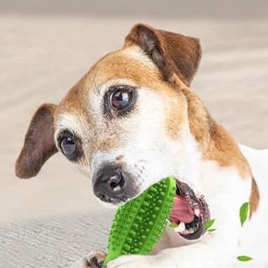 犬 おもちゃ 歯磨き | 犬用歯磨きおもちゃ 吸盤付き