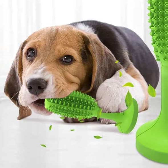 犬 おもちゃ 歯磨き | 犬用歯磨きおもちゃ 吸盤付き