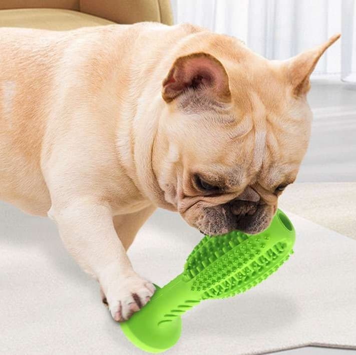 犬 おもちゃ 歯磨き | 犬用歯磨きおもちゃ 吸盤付き