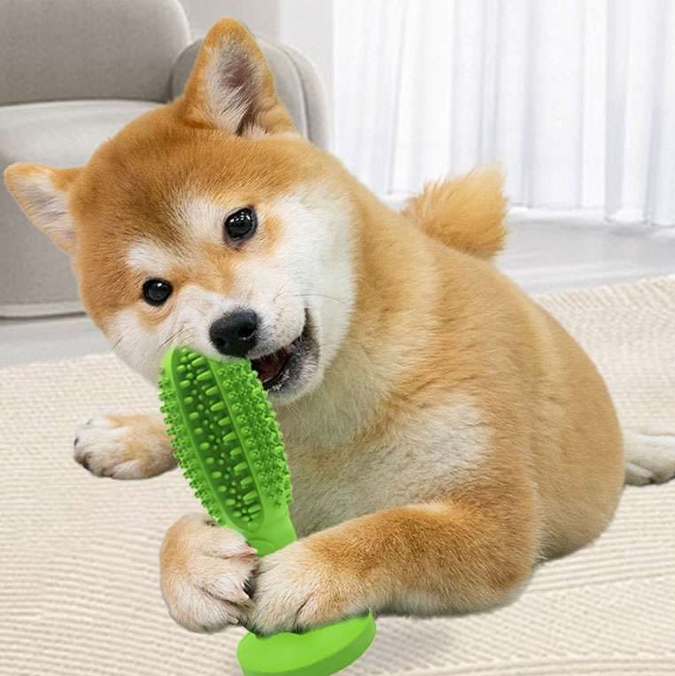 犬 おもちゃ 歯磨き | 犬用歯磨きおもちゃ 吸盤付き