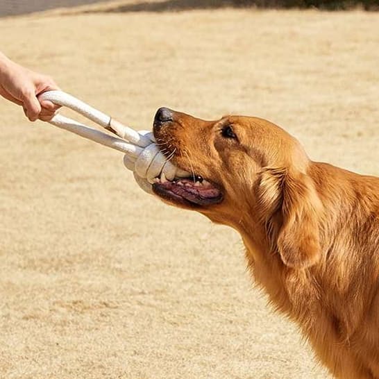 犬 おもちゃ ロープ | 愛犬用デンタルロープおもちゃ