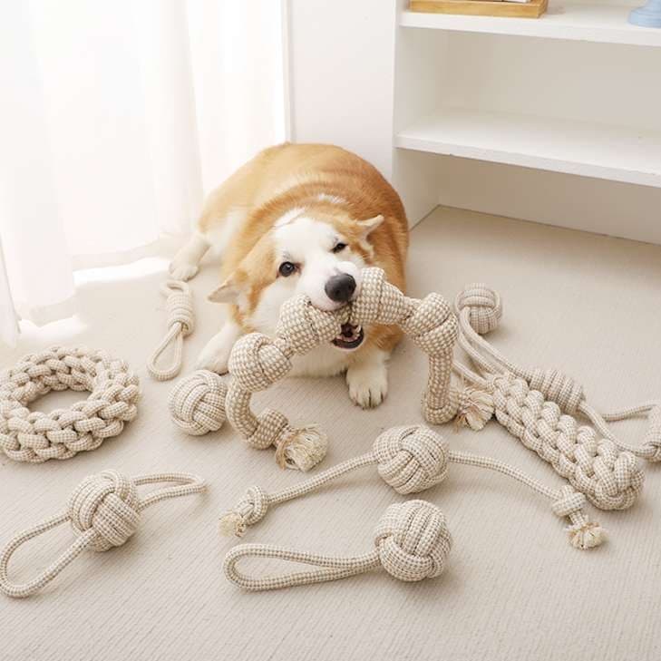 犬 おもちゃ ロープ | 愛犬用デンタルケア噛みロープセット