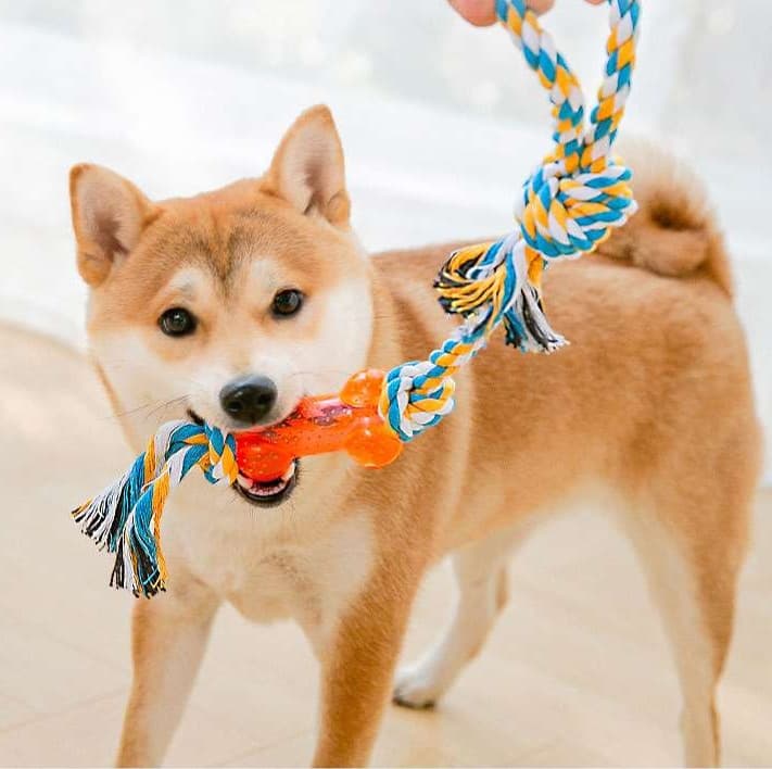 犬 おもちゃ ロープ | 愛犬用デンタルロープ遊具セット