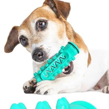 犬 おもちゃ 歯磨き | わんちゃんの歯みがきおもちゃ