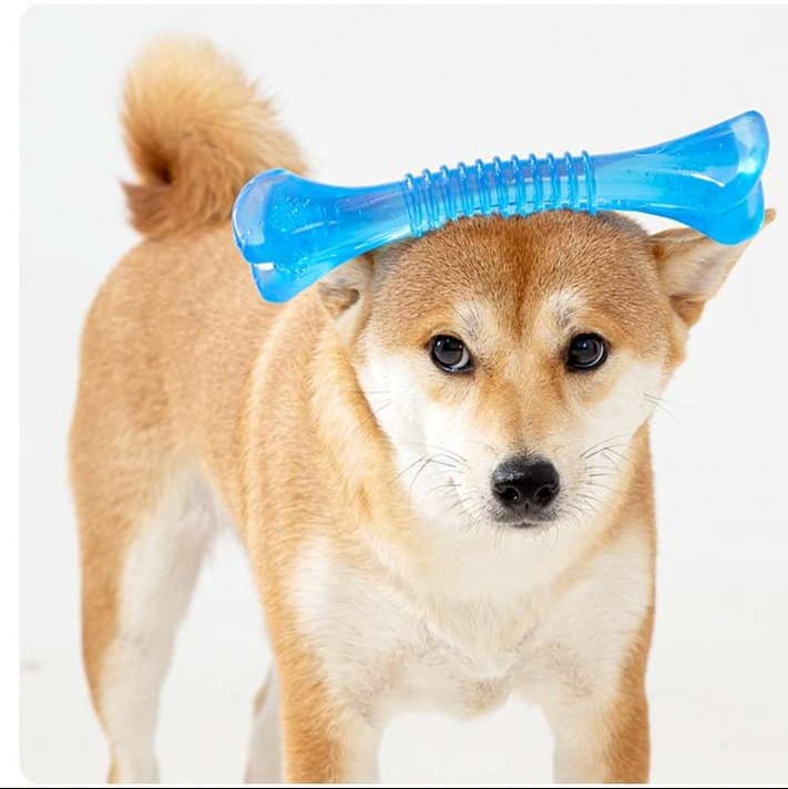 犬 おもちゃ 骨 | わんちゃん喜ぶ噛み噛みボーン
