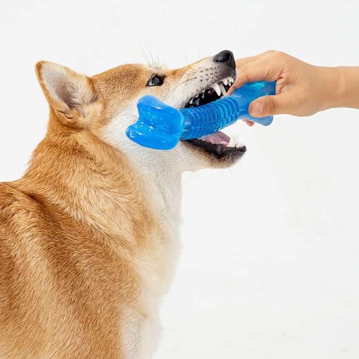 犬 おもちゃ 骨 | わんちゃん喜ぶ噛み噛みボーン