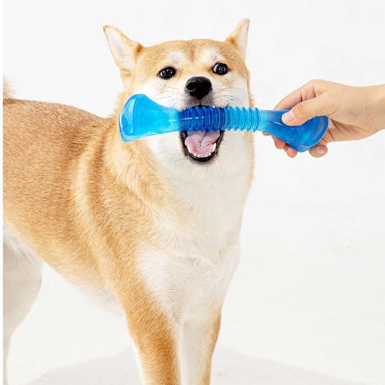犬 おもちゃ 骨 | わんちゃん喜ぶ噛み噛みボーン