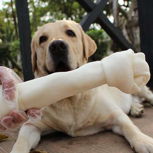 犬 おもちゃ 骨 | わんちゃん大喜び！噛みごたえ抜群の特大骨