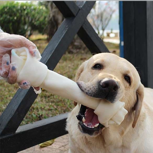 犬 おもちゃ 骨 | わんちゃん大喜び！噛みごたえ抜群の特大骨