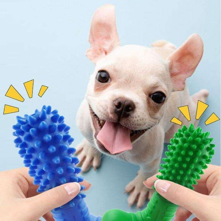 犬 おもちゃ 歯磨き | わんちゃんの歯みがきボーン