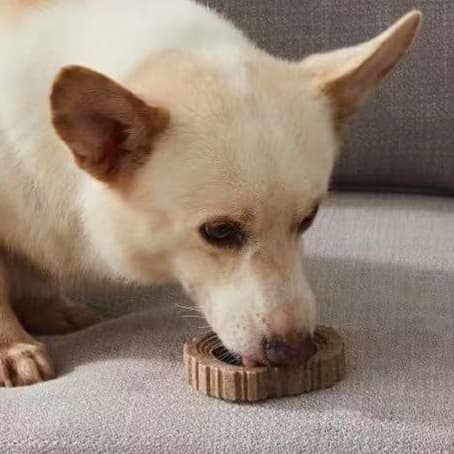 犬 おもちゃ 骨 | 天然木のカミカミ骨