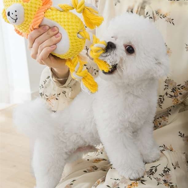 犬 おもちゃ ぬいぐるみ | わんちゃん大喜び！歯磨きぬいぐるみ