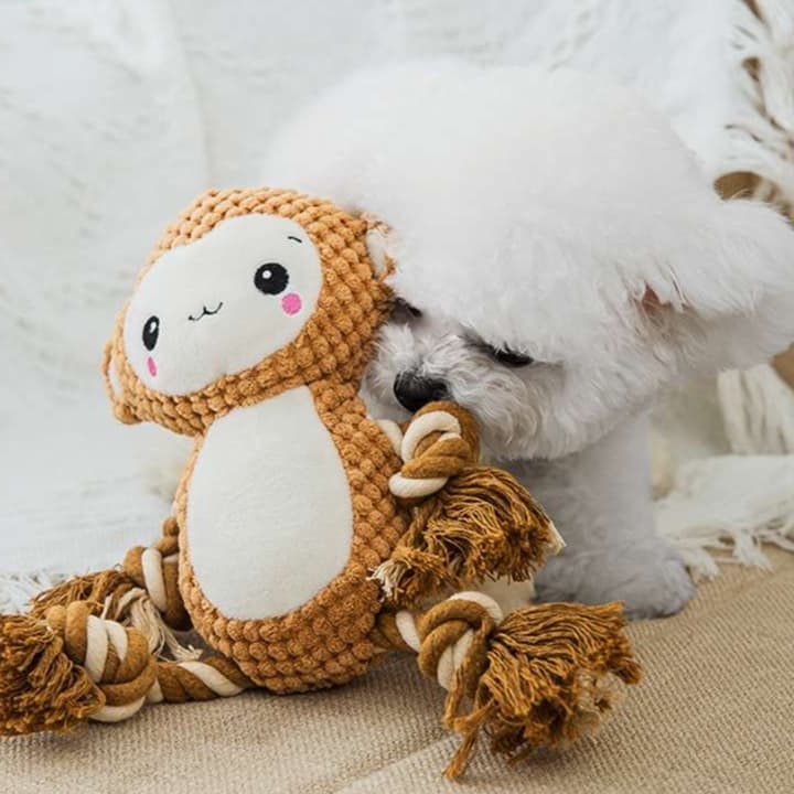 犬 おもちゃ ぬいぐるみ | わんちゃん大喜び！歯磨きぬいぐるみ