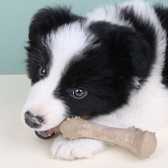 犬 おもちゃ 骨 | 愛犬用耐久性デンタルケア骨おもちゃ