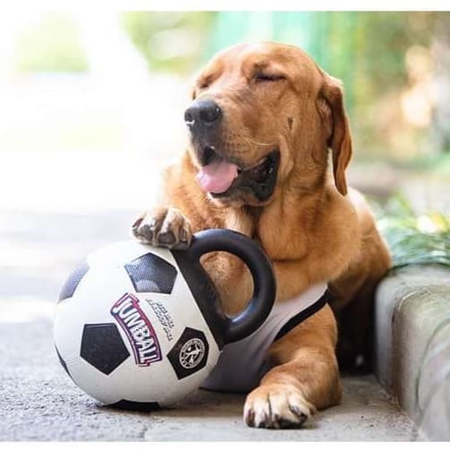 犬のおもちゃ ボール