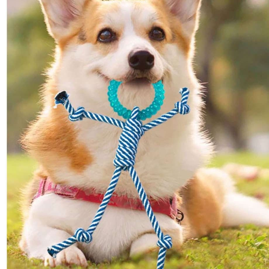犬 おもちゃ ロープ | わんちゃん遊びロープ人形おもちゃ