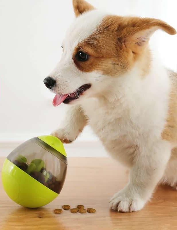 犬 おもちゃ 知育 | 犬用知育おもちゃ 迷路フードボール