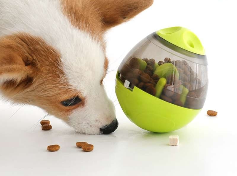 犬 おもちゃ 知育 | 犬用知育おもちゃ 迷路フードボール