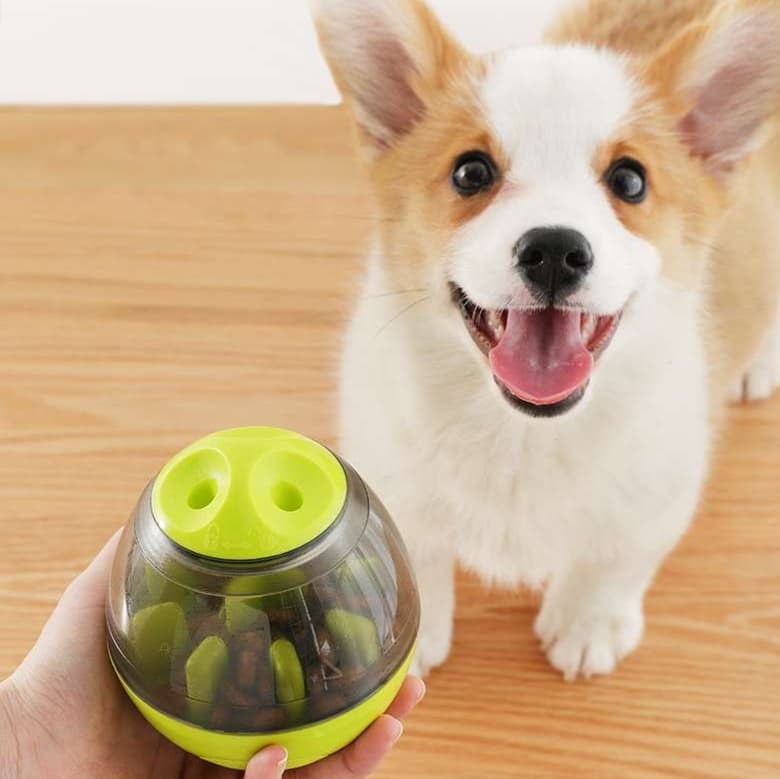 犬 おもちゃ 知育 | 犬用知育おもちゃ 迷路フードボール
