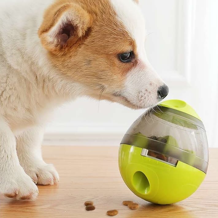 犬 おもちゃ 知育 | 犬用知育おもちゃ 迷路フードボール