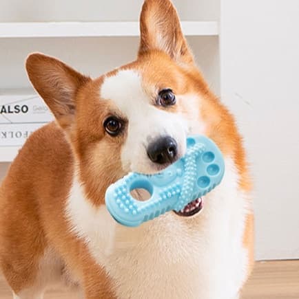 犬 おもちゃ | ワンちゃんの歯磨きスリッパ型おもちゃ