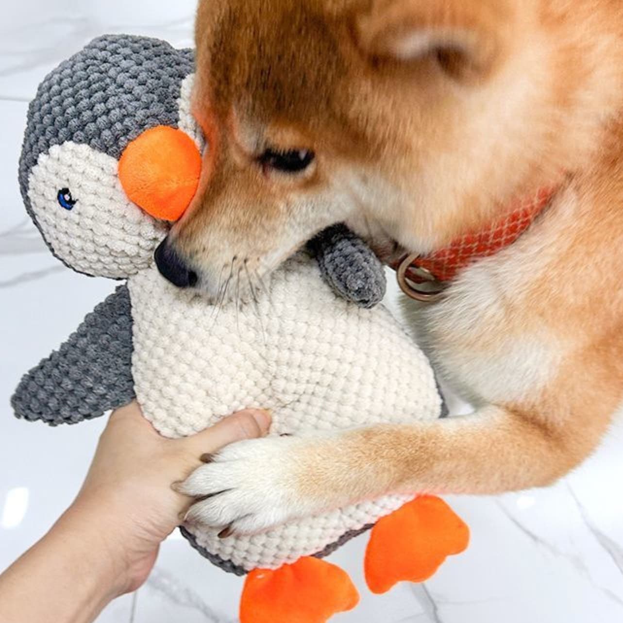 犬のおもちゃ ぬくもり編みペンギン