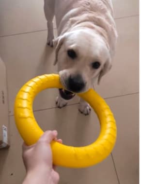 犬のおもちゃ 丈夫な輪っか型 噛むおもちゃ