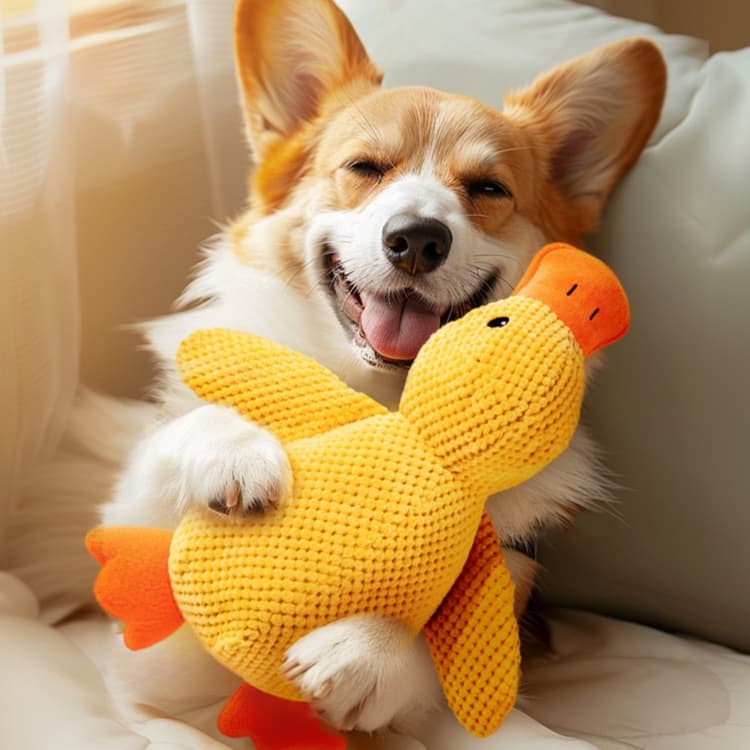 犬のおもちゃ ふわふわアヒル君 愛犬の癒しおもちゃ