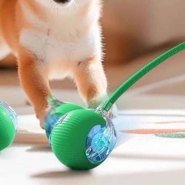 犬のおもちゃ 知育系ボール型噛みおもちゃ