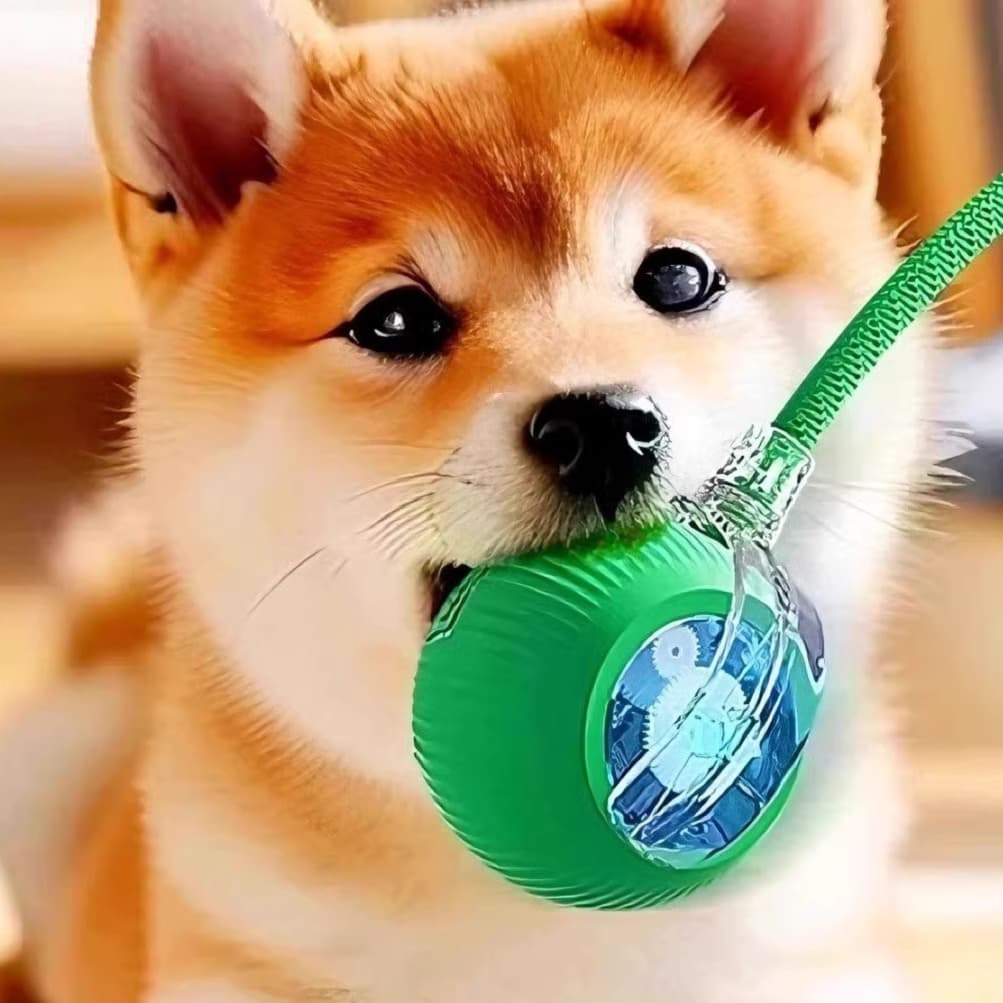 犬のおもちゃ 知育系ボール型噛みおもちゃ