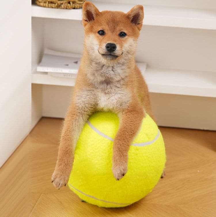 犬のおもちゃ 大型ふわふわ遊びボール