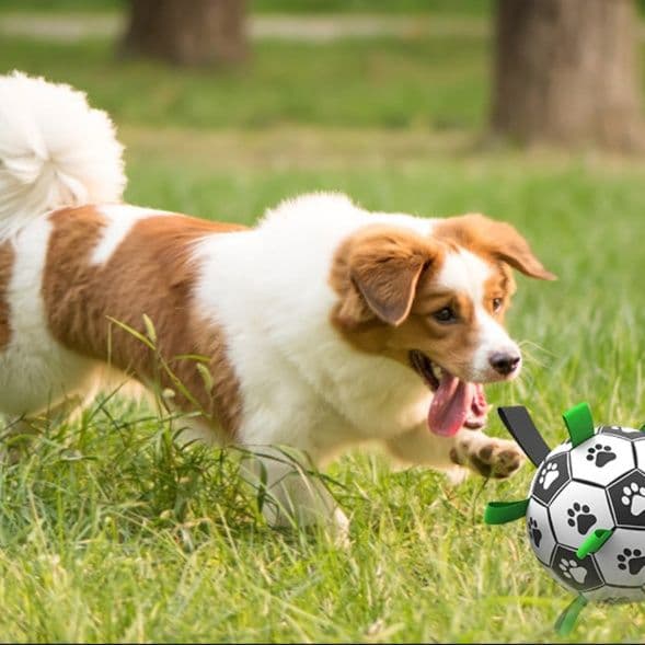 犬のおもちゃ 肉球模様サッカー型タグ付き愛犬専用ボール