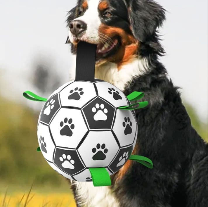 犬のおもちゃ 肉球模様サッカー型タグ付き愛犬専用ボール