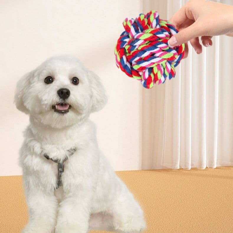 犬のおもちゃ 編み込み結び玉ロープ遊具