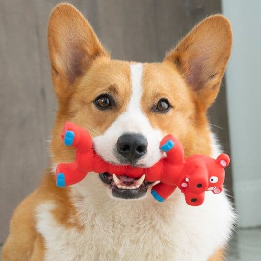 犬のおもちゃ 可愛い動物形状音が鳴る噛み応え抜群玩具