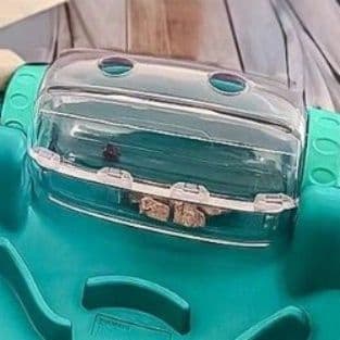 犬 おもちゃ 知育 | ペット用パズルフィーダー